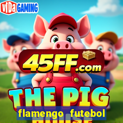 flamengo futebol play hd